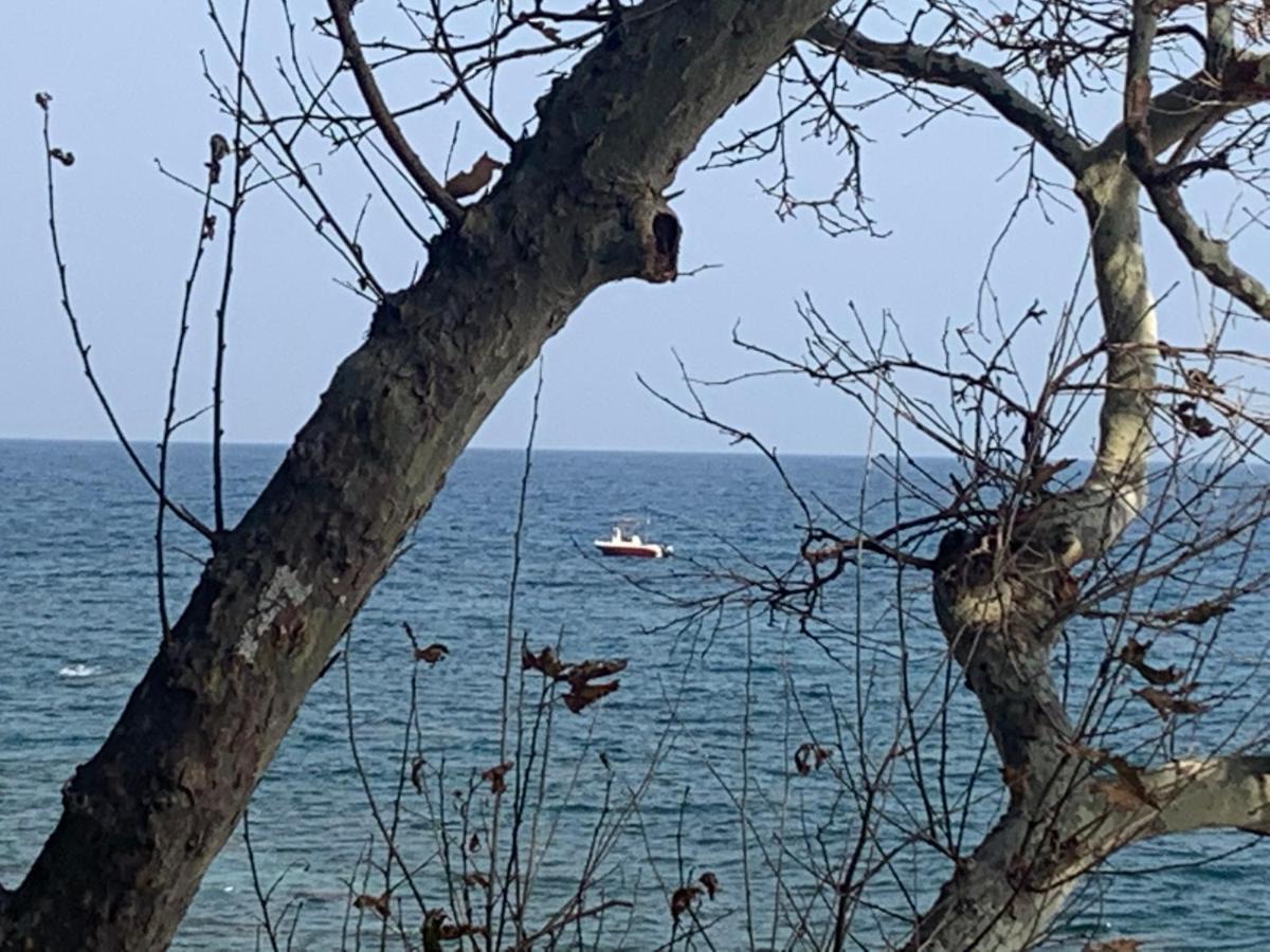 Pelion 7 Lives Tsagarada Exterior foto